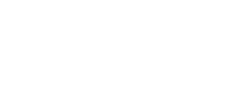 paranormal punchers logo